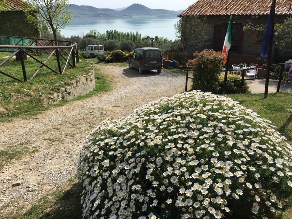 Fattoria Il Poggio Vila San Feliciano Exterior foto